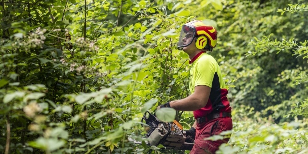 Foto: Forstwart mit Motorsäge bei der Pflege des Waldes.