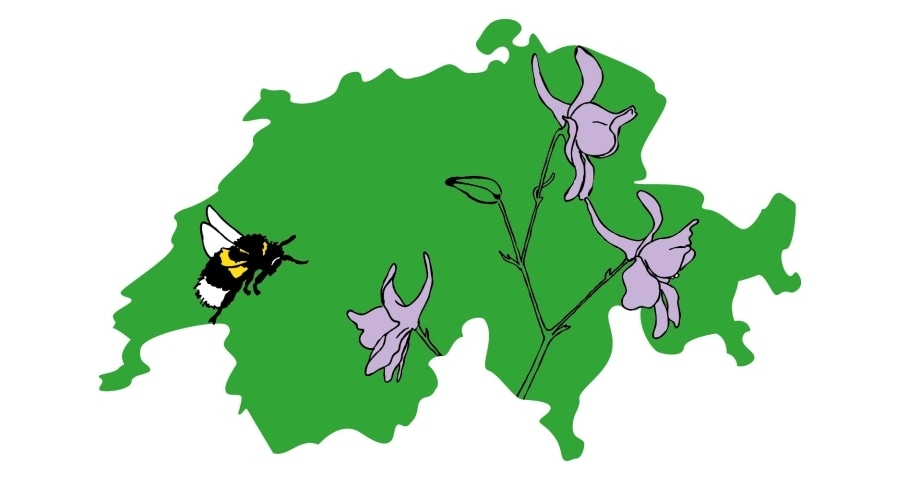 Symbol: Umriss der Schweiz mit Wildbiene und Ackerblumen.