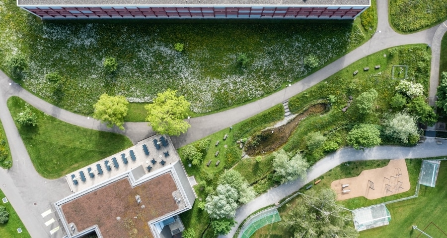 Blick von oben auf das Schulgelände der Kantonsschule Romanshorn. Man sieht Blumenwiesen, Bäume und einen Teich.