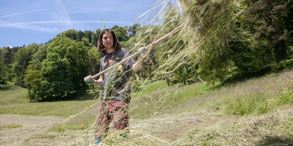 Zivildienstleistender mit Rechen beim Heuen in einer Naturschutzwiese