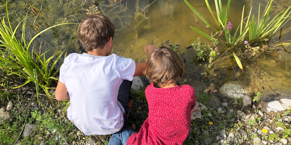 Zwei Kinder beobachten im Teich Tiere.