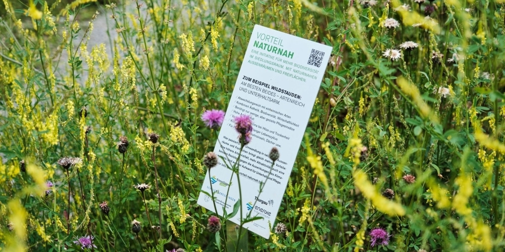 Schild mit Informationen zum Nutzen von Wildstauden inmitten einer reichen Blütenpracht