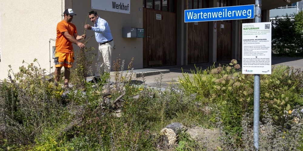 Wildstaudenbeet vor dem Werkhof in Kradolf-Schönenberg