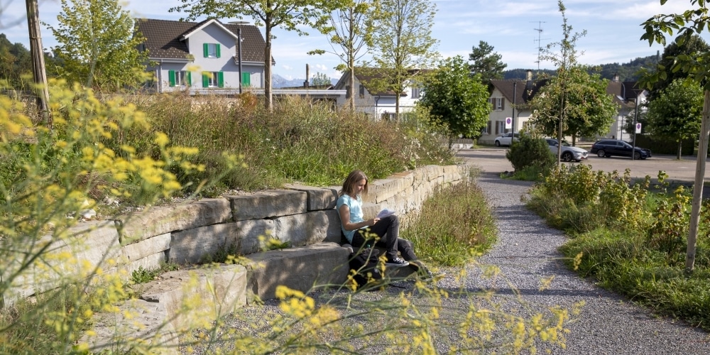 Steinmauer mit Sitzbank unter Bäumen, umgeben von Wildstauden.