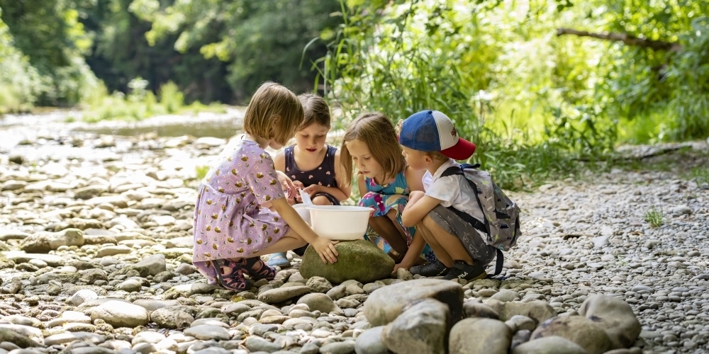 Kinder betrachten in einer Plastikschale Wasserinsekten, die aus dem Flussbett der Murg gefischt worden sind.