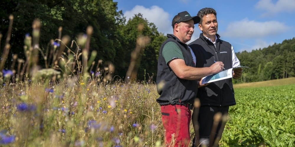 Berater und Landwirt stehen zwischen Brache und Ackerfläche.