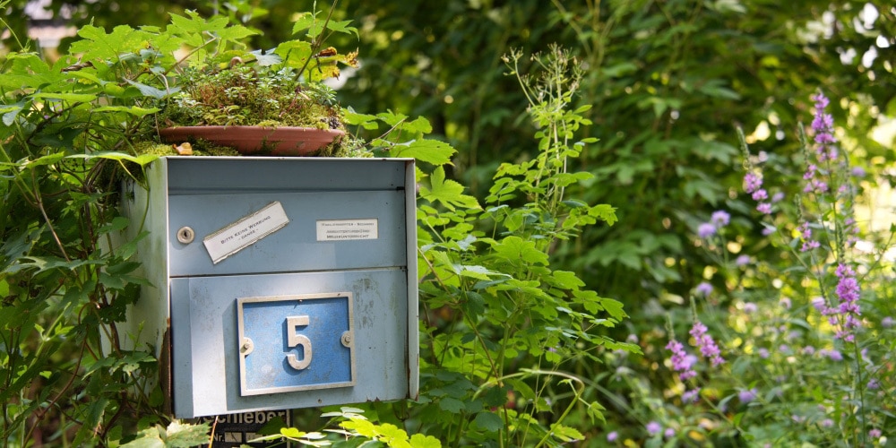 Ein Untersetzer mit Moos steht auf einem Briefkasten. Rundherum Ranken von Kletterpflanzen. 